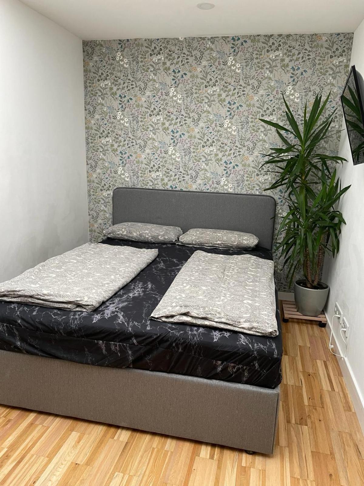 Bungalow Am Donaupark Регенсбург Екстериор снимка
